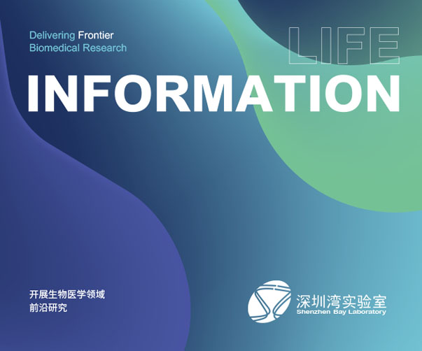 醬牛肉包裝設(shè)計